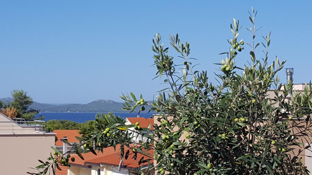 Apartment Garden Terrace Zadar Ngoại thất bức ảnh